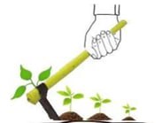 photo_2025-11-20_12-07-41